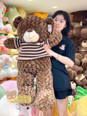 Teddy Choco