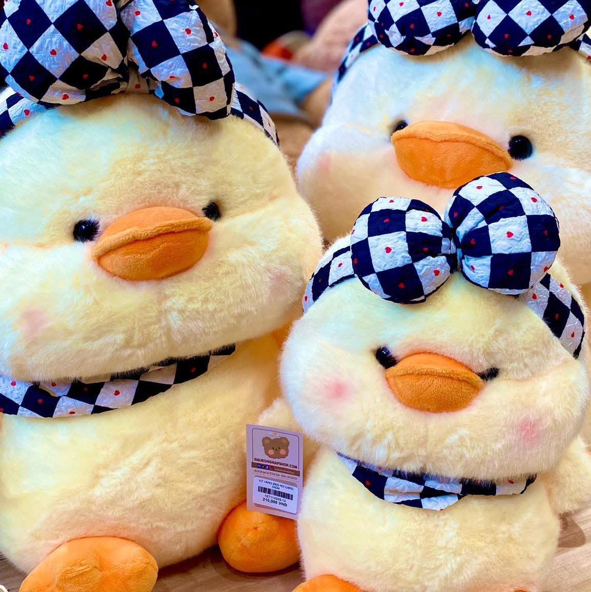 629760475_1309835024507017_2230701889244195260_n