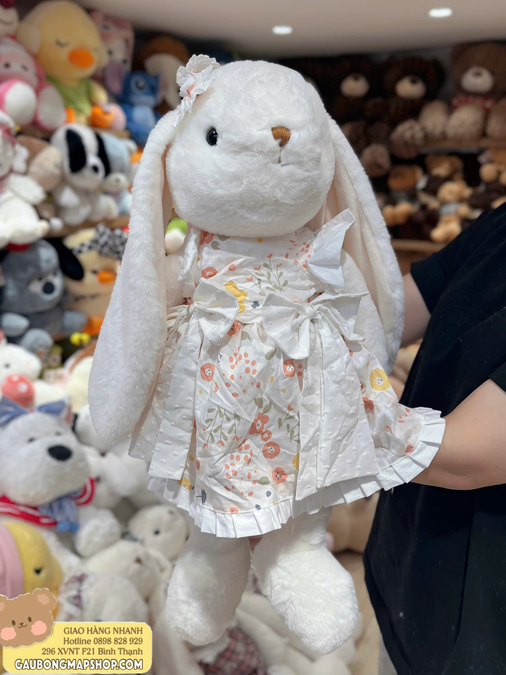 z7524552605021_8612341cf70bc8b61a98407f3b39a688