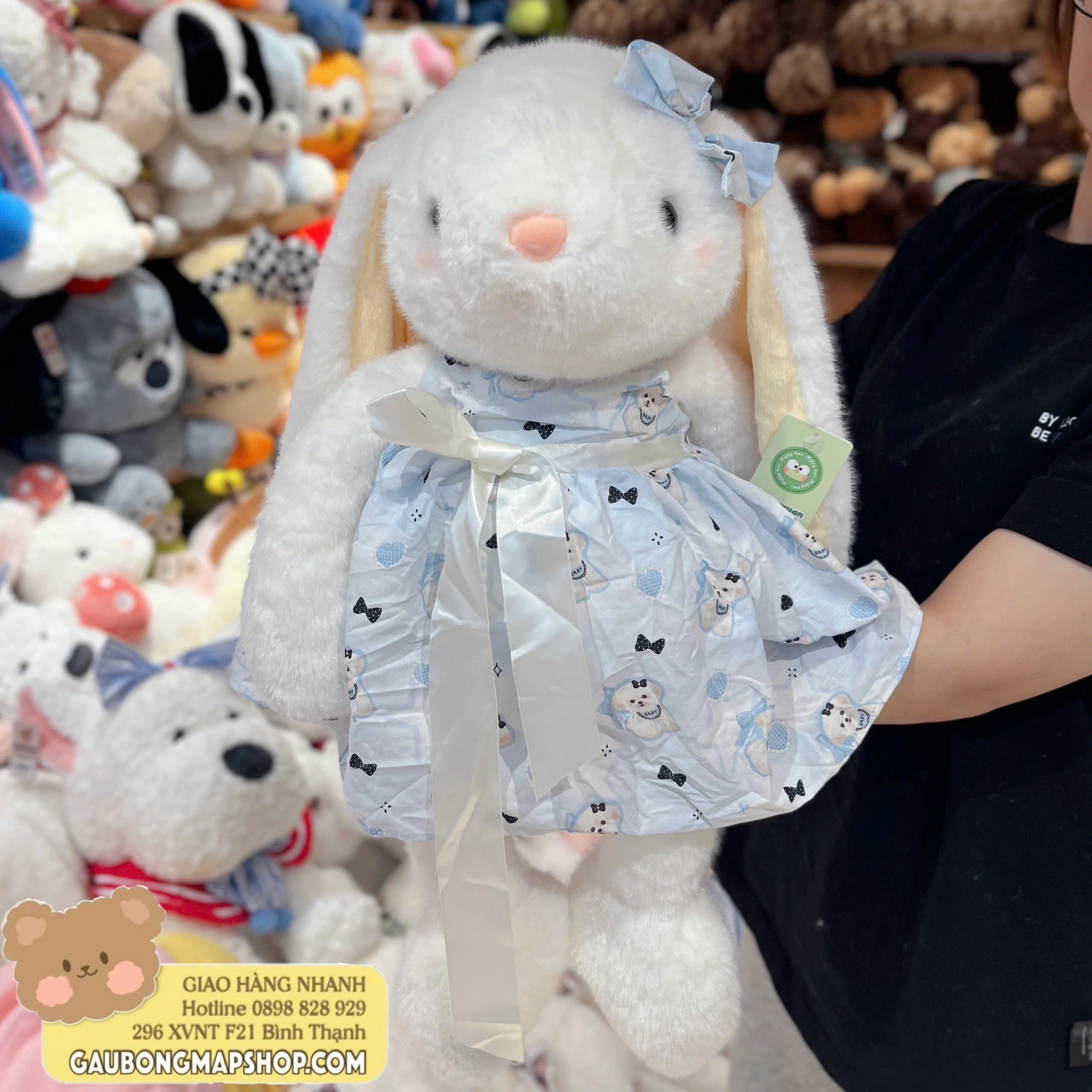 z7524552637843_1ca9ac646debb2dc6059b1689d85485c