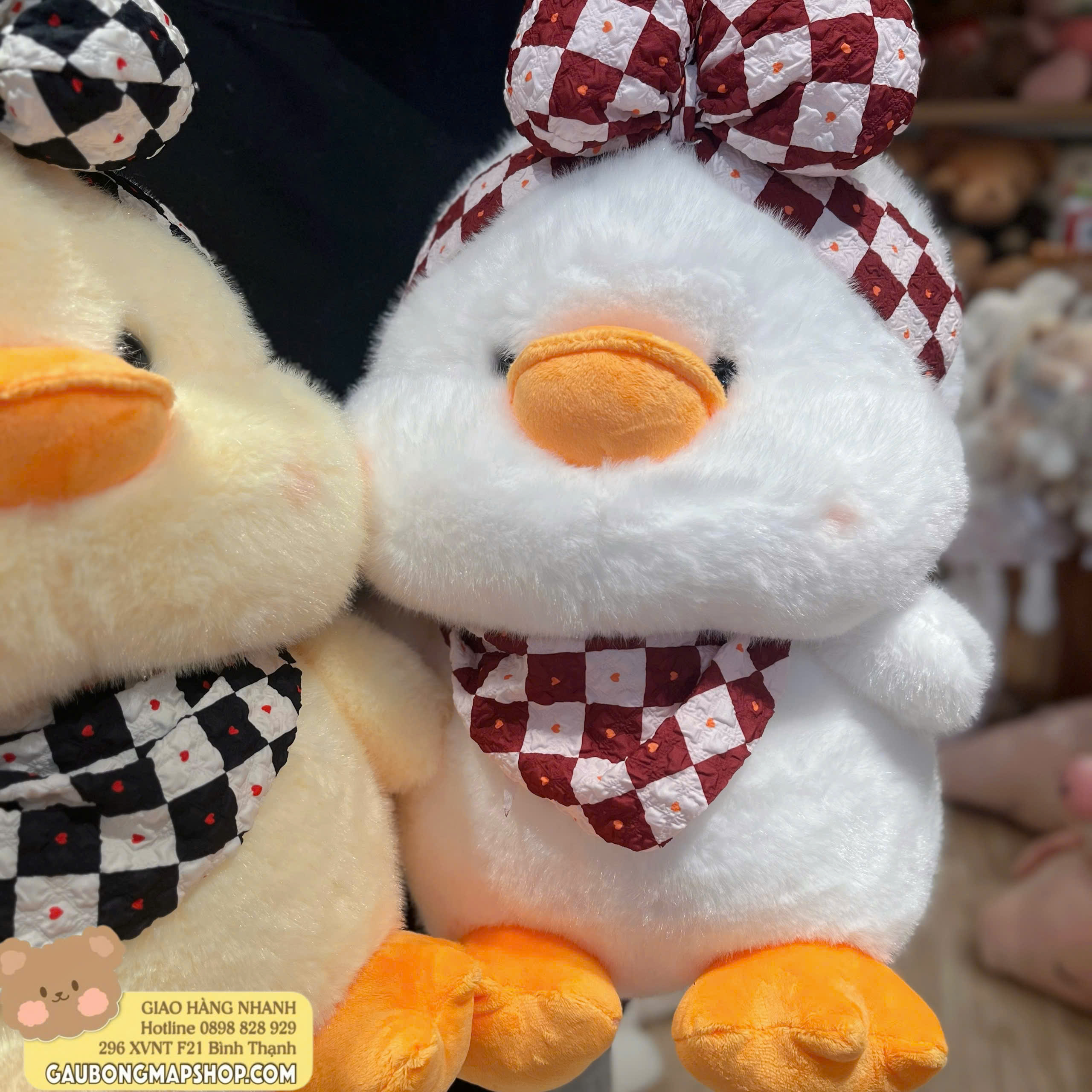 z7524553284291_fe4b37b5df29e318bb3135babe96a086