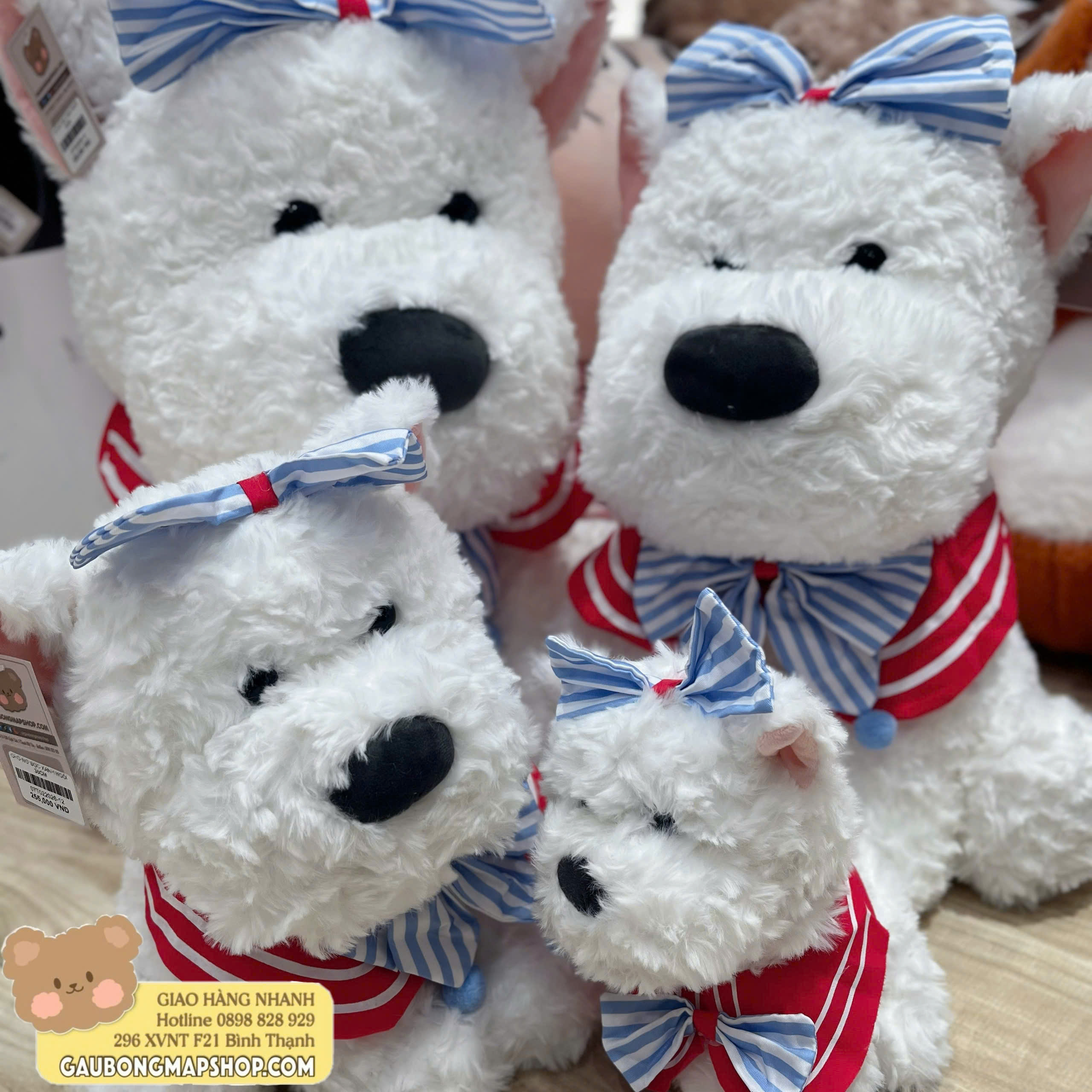 z7524553356222_dd6673bdfa3d609adab58741e11ad280